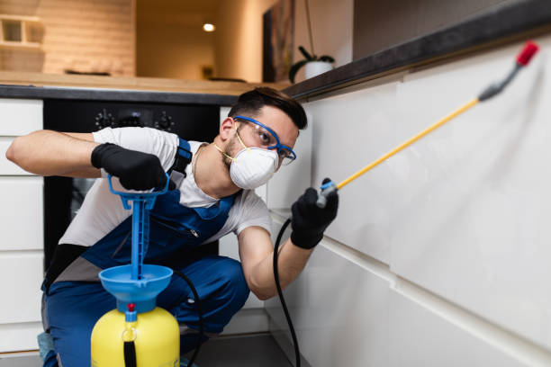Reliable Amelia Court House, VA Pest Control Solutions