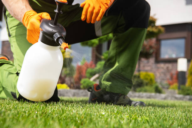 Best Flea Control Services  in Amelia Court House, VA
