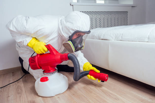 Best Affordable Pest Control Services  in Amelia Court House, VA