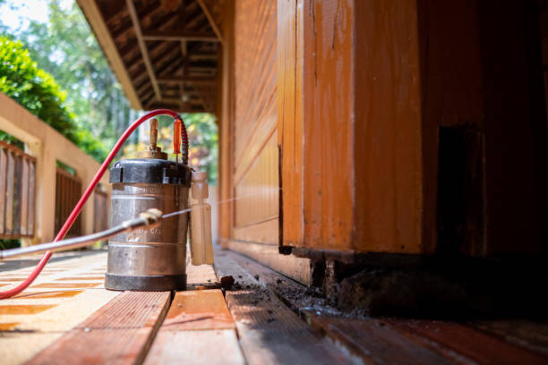 Best Ant Control Services  in Amelia Court House, VA
