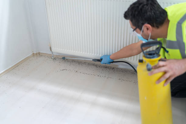 Best Termite Control Services  in Amelia Court House, VA