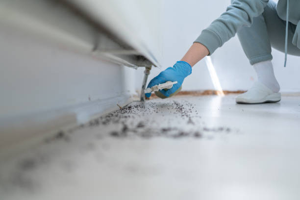 Best Emergency Pest Control  in Amelia Court House, VA